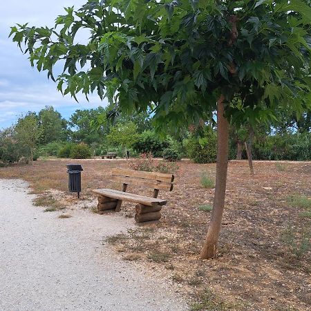 Studio Proche De Perpignan Peyrestortes Exteriér fotografie