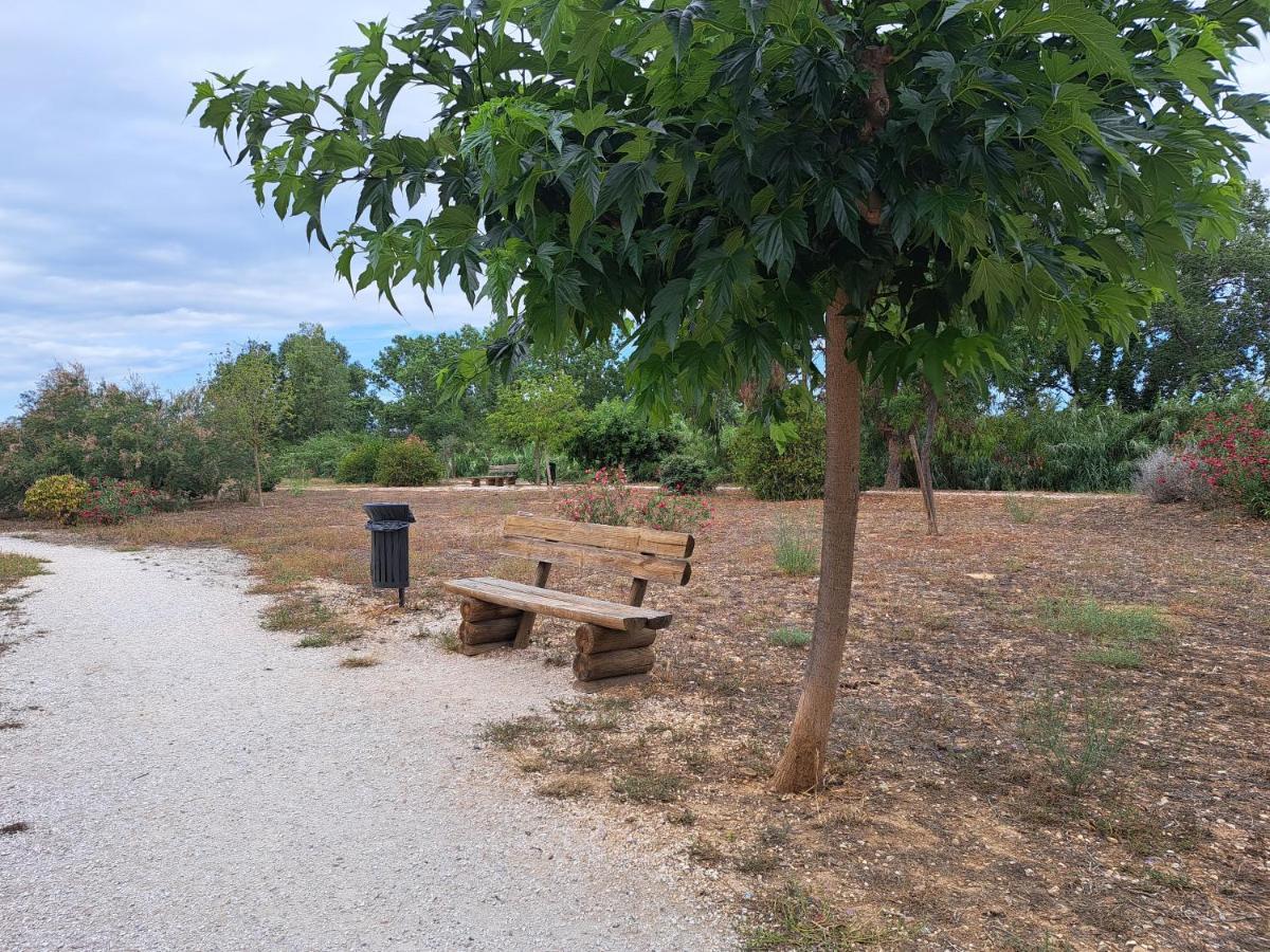Studio Proche De Perpignan Peyrestortes Exteriér fotografie